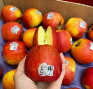 Cách bảo quản và lựa chọn táo Envy