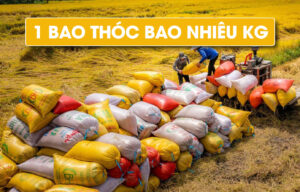 1 Bao thóc bao nhiêu kg