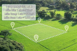 1 Sào Là Bao Nhiêu m2