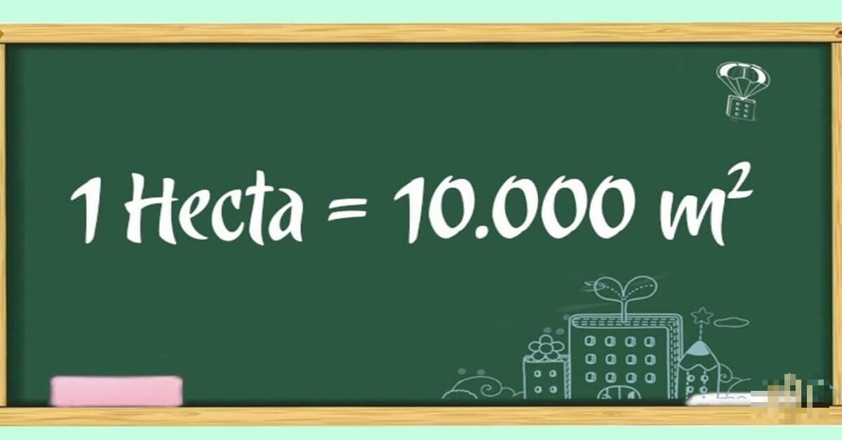 1 hecta bằng 1000m2
