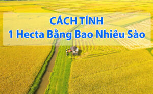 1 hecta bằng bao nhiêu sào