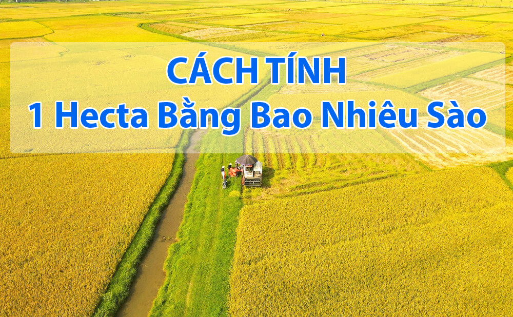 1 hecta bằng bao nhiêu sào
