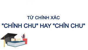 Chỉnh chu hay chỉn chu