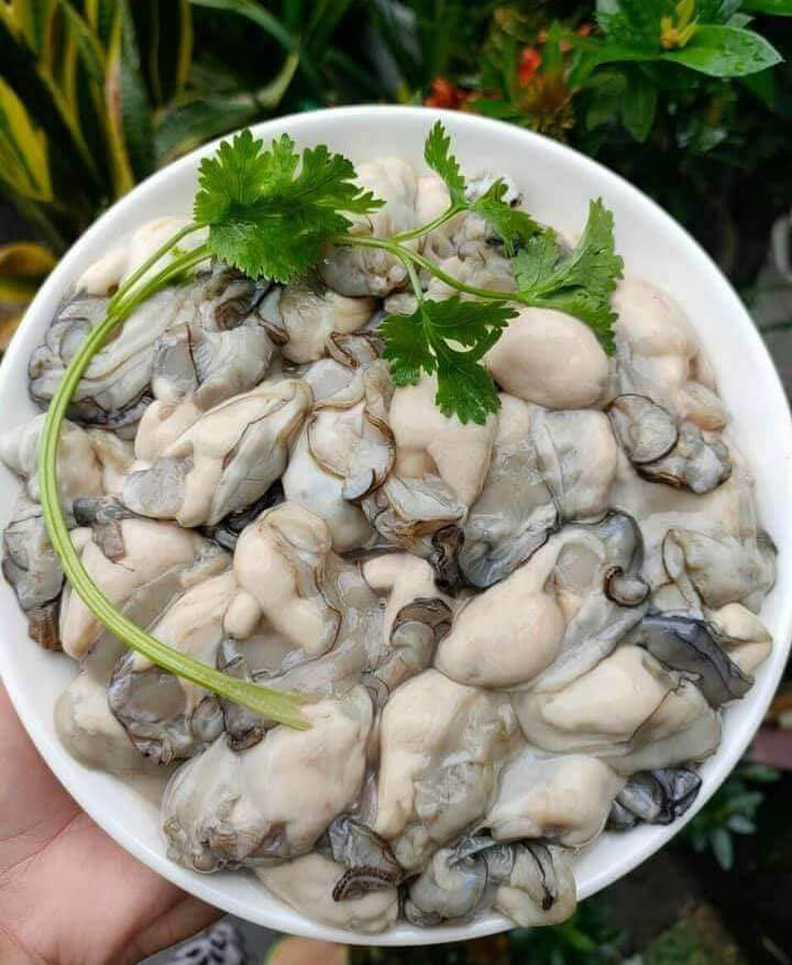 Ruột hàu sữa nấu món gì