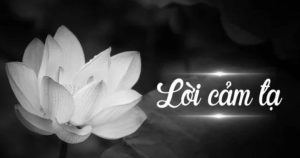 Ý nghĩa của hoa sen trắng