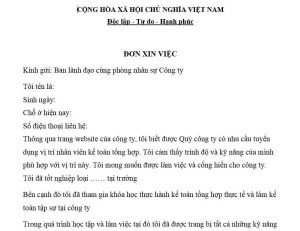 Tải mẫu đơn xin việc form word, hướng dẫn viết mẫu đơn xin việc tiêu chuẩn