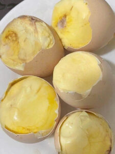 Hột vịt dữa là gì