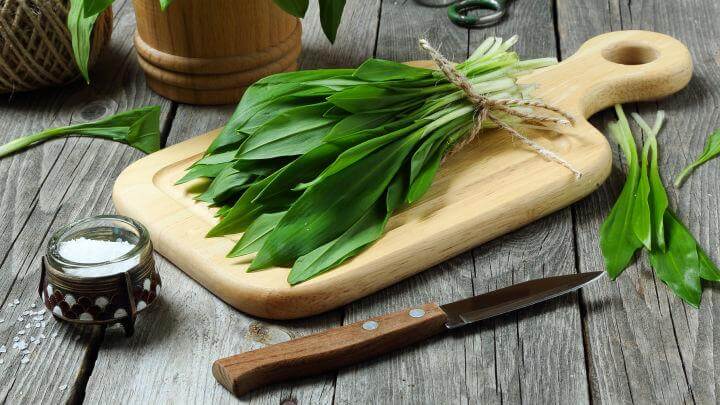 Mua tỏi gấu ở đâu