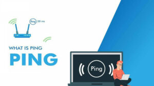 Ping Website Là Gì