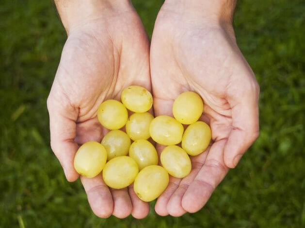 Phong tục ăn 12 trái nho dưới gầm bàn