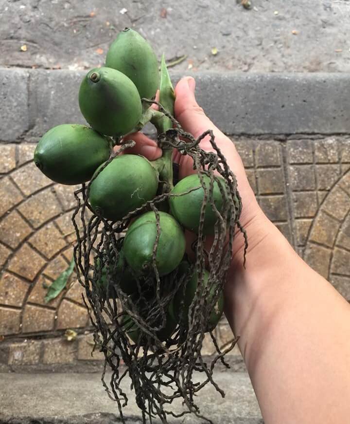 Cau lại buồn