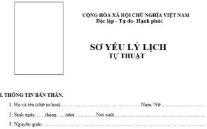 Hướng dẫn viết sơ yếu lý lịch