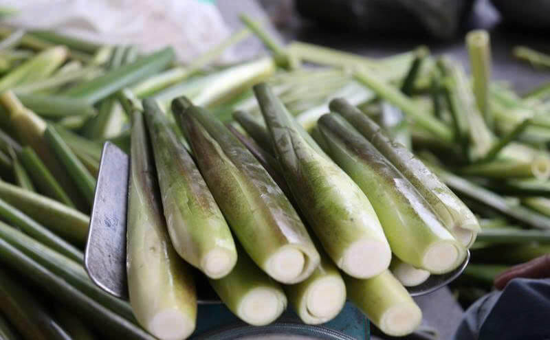 Củ niễng là gì? Nguồn gốc và đặc điểm